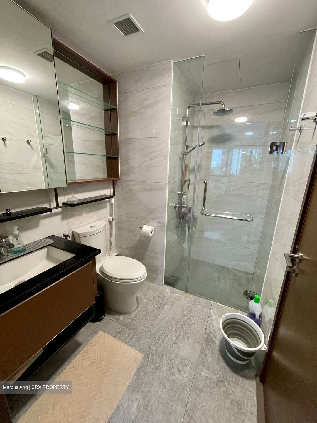 Normanton Park (D5), Apartment #438881681